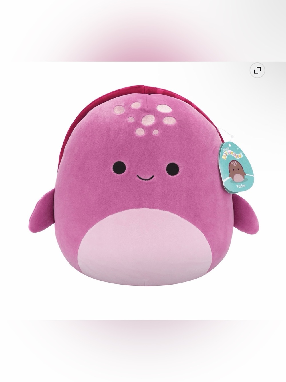 Squishmallow Tudor The Sea Turtle “First To Market” 7in